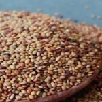 Horse Gram Health Benefits – Kulath Dal in Ayurveda %count Horse Gram Health Benefits – Kulath Dal in Ayurveda