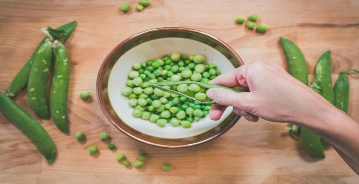 Peas Health Benefits as per Ayurveda
