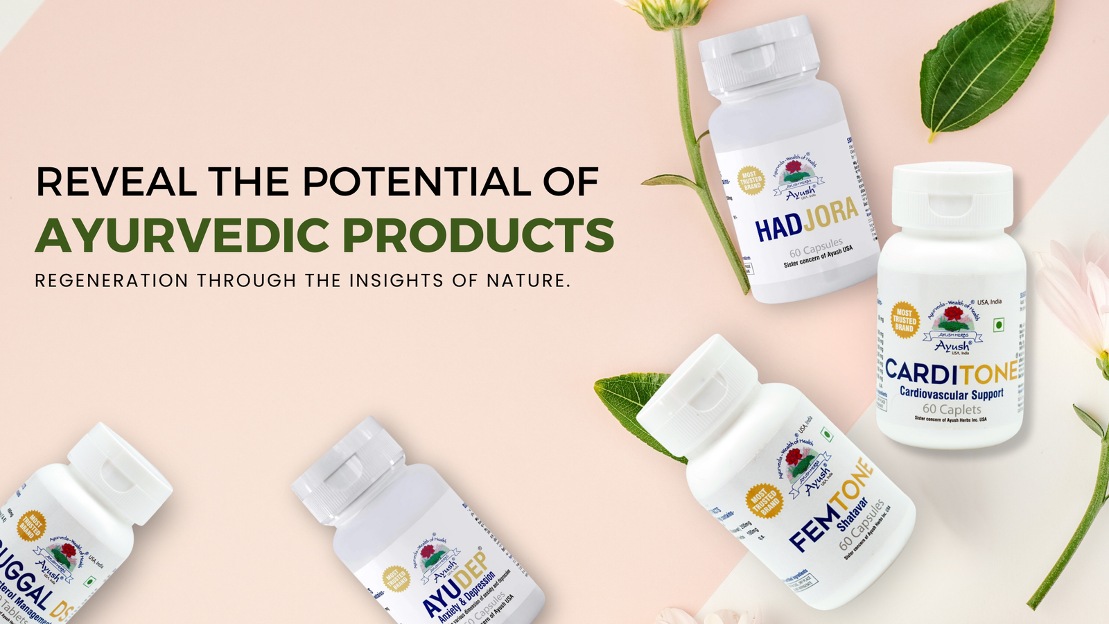 Natural ayurvedic products for health and wellness by Ayush Herbs.